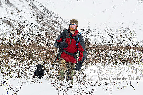 Man hunts for Ptarmigan with his black lab puppy and chocolate lab in Granite Basin near Juneau  Southeast Alaska during Winter