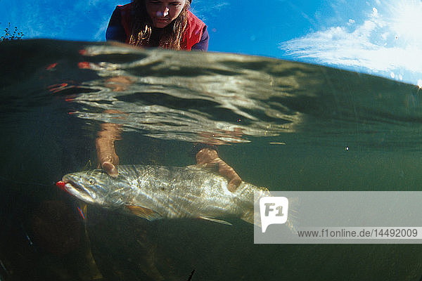 Person hält Lachs unter Wasser SC Alaska Sommer