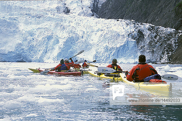 Group Of Kayakers Near Holgate Glacier Kenai Fjords NP KP AK
