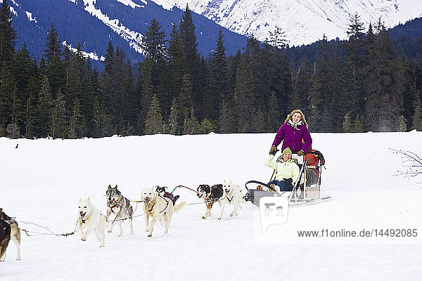 Guided dog mushing tour in Moose Meadows at Alyeska Resort near Girdwood in Southcentral Alaska