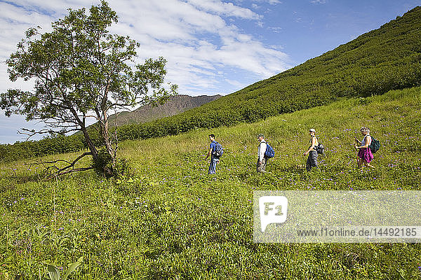 Group of men and women hikers along Williwaw lakes trail in Chugach State Park near Anchorage  Alaska during Summer