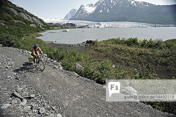 Frau beim Radfahren auf dem Weg zum Spencer Glacier  Chugach National Forest  Kenai Peninsula  Southcentral Alaska  Sommer