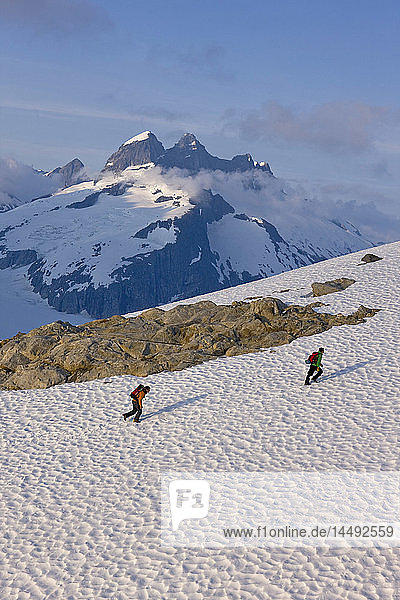 Hikers climb in the afternoon sun on a ridge above the Juneau Ice Field  Juneau  Alaska  Tongass National Forest