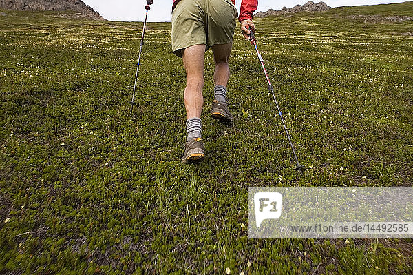 Hiker runs uphill in the Chugach Mountains during a rugged 32-mile link-up trail of Chugach front range peaks Southcentral Alaska summer