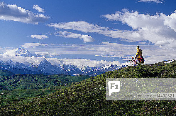 Mountainbiker w/Mt. Mckinley im Hintergrund SC