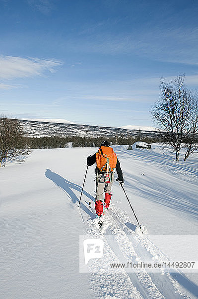 One man skiing rear view