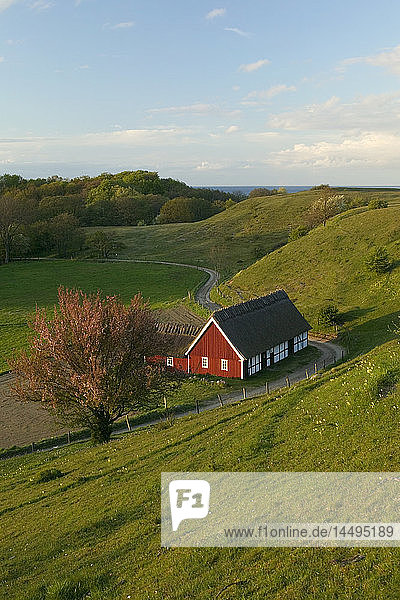 Ein Bauernhof in der Nähe des Meeres  Schweden.