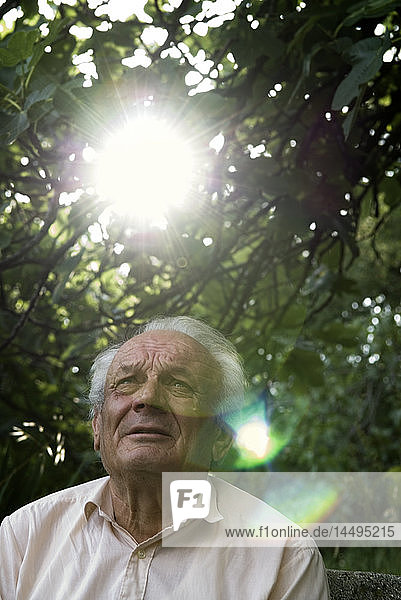 Porträt eines älteren Mannes unter einem Baum  Kroatien.