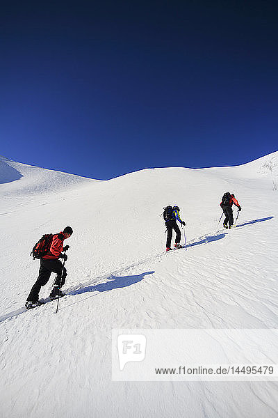 Skiers climbing a mountain  Lapland  Sweden.