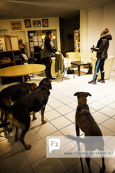 Reportage at Pause Diabolo a risk reduction centre for drug users in Lyon France. Pause Diabolo sees drug users as part of a national French policy to reduce health hazards. This multidisciplinary helps deals with all aspects of life that are affected