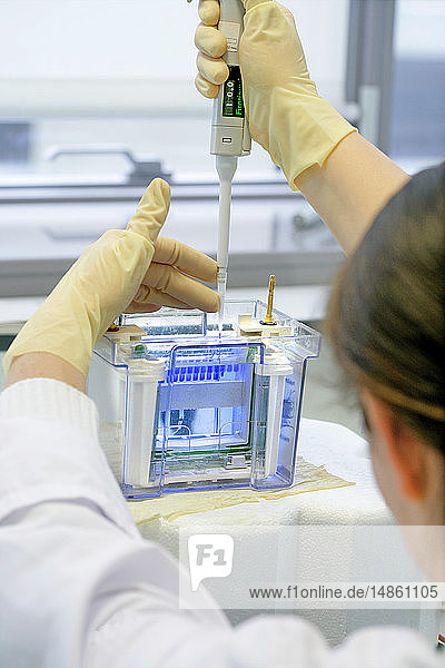 ELECTROPHORESIS