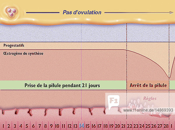 PILL