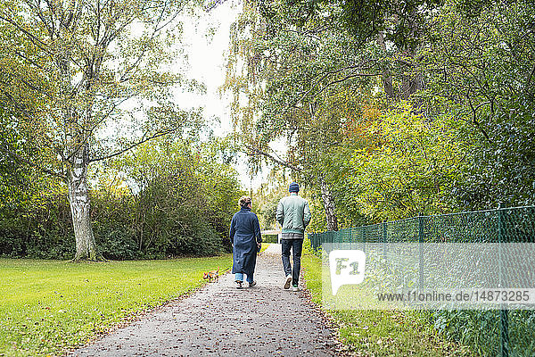 Couple in park with dog