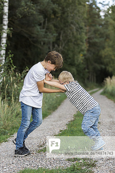 Boys playing in forest