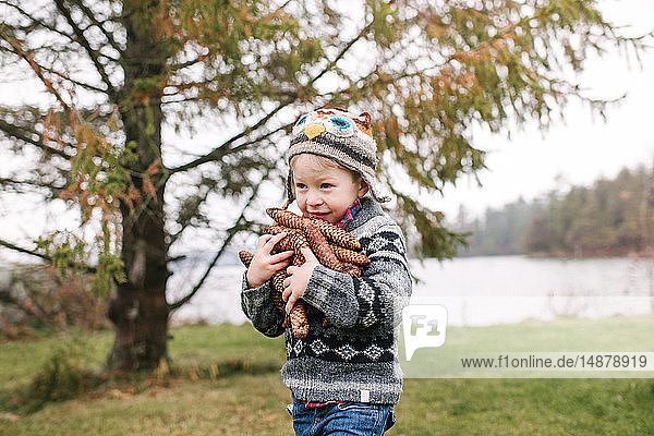 Junge mit einem Arm voll brauner Tannenzapfen  Kingston  Ontario  Kanada