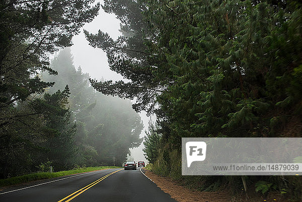 Autos auf der Straße Haleakala Maui Hawaii