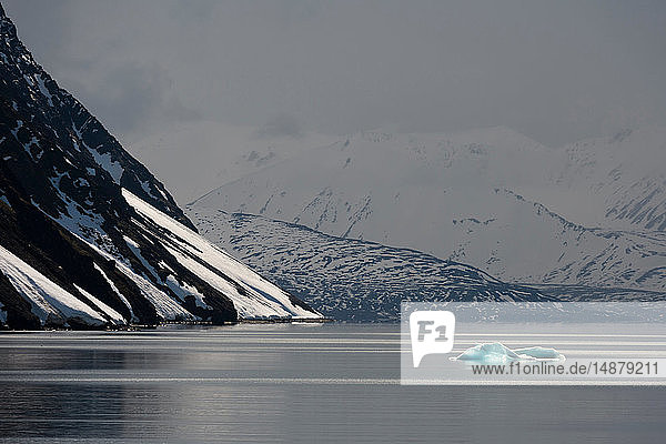Grauer ruhiger Tag  Krossfjorden  Svalbard  Norwegen