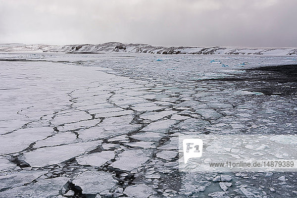 Pack ice  Murchinson Bay  Murchisonfjorden  Nordaustlandet  Svalbard  Norway