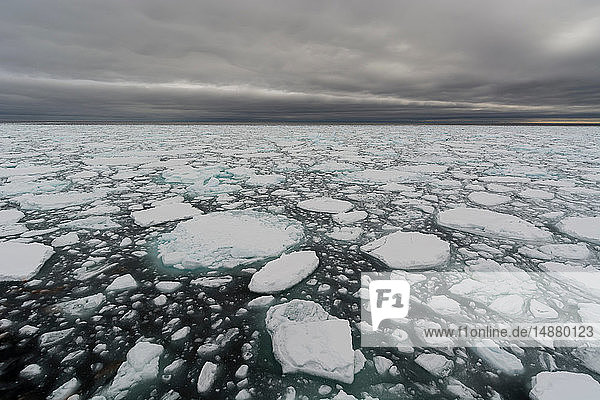 Schwimmende Packeisstücke  Polareiskappe  81nördlich von Spitzbergen  Norwegen