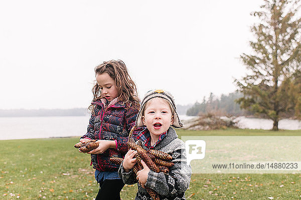 Siblings with armful of brown pine cones  Kingston  Ontario  Canada
