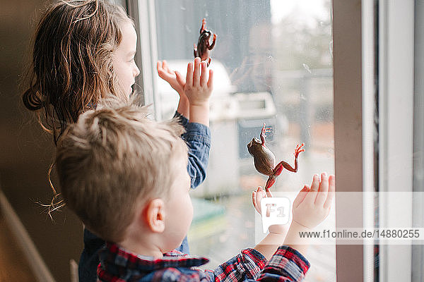 Kinder spielen mit Fröschen am Fenster