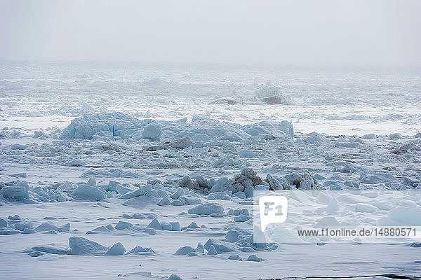 Gefrorene Landschaft und nebliger Horizont  Wahlenberg Fjord  Nordaustlandet  Svalbard  Norwegen