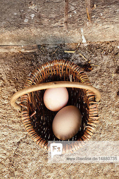 Zwei Eier im Korb