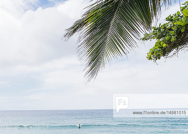 Einsamer Surfer im Meer  Bonzai Pipeline Beach  Oahu  Hawaii