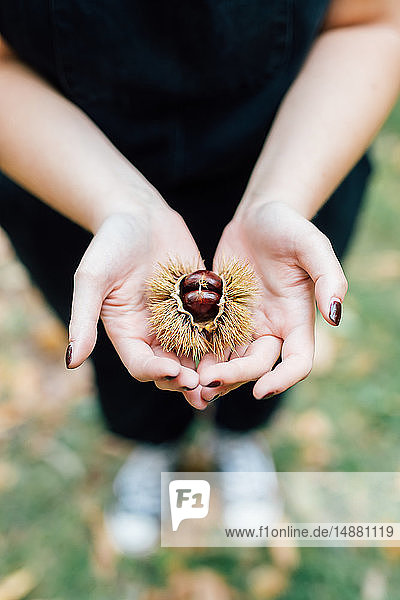 Woman holding a chestnut