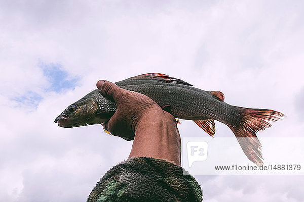 Caught fish held up to sky