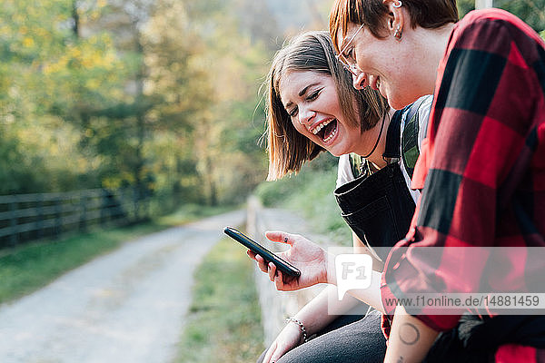 Best friends sitting on stone wall  sharing text message  Rezzago  Lombardy  Italy