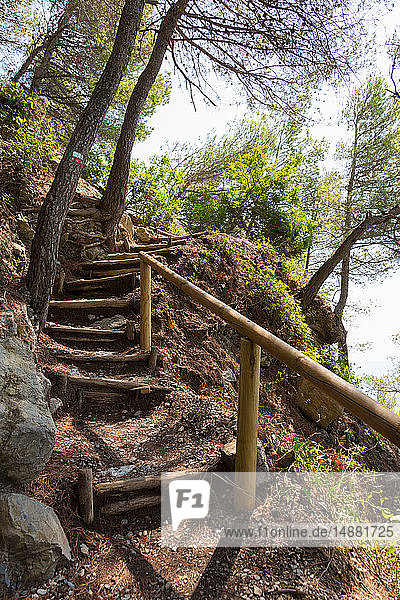 Steile Holztreppe im Bergwald  Lerici  Ligurien  Italien