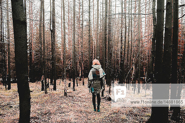 Frau steht im Winter im Wald  Ural  Swerdlowsk  Russland