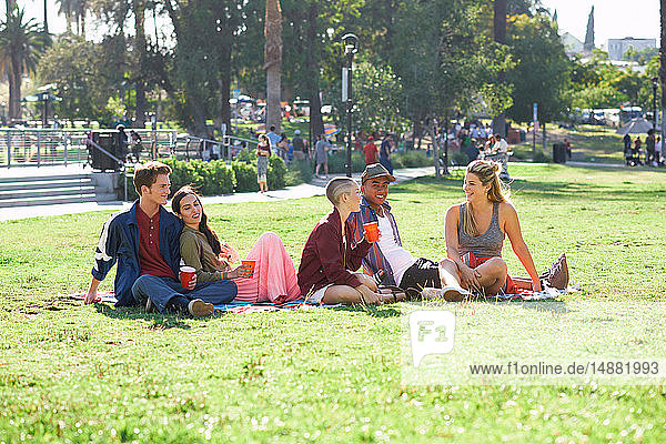 Fünf junge erwachsene Freunde sitzen im Park  Los Angeles  Kalifornien  USA
