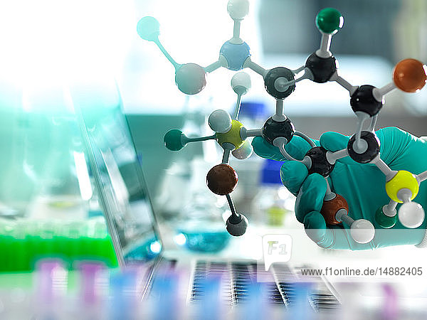 Chemische Forschung  Forscher  der eine chemische Formel mit Hilfe eines molekularen Modells entwirft