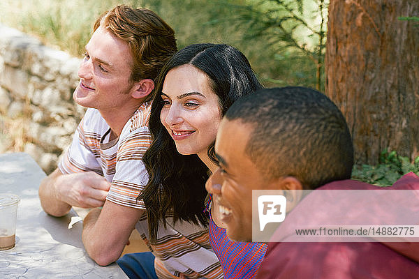 Drei junge erwachsene Freunde unterhalten sich am Picknicktisch im Park  Los Angeles  Kalifornien  USA