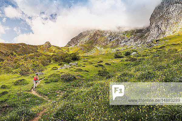 Wanderer bei Fuente De in der nationalen Reserve Parque National de los Picos de Europa  Potes  Kantabrien  Spanien