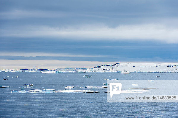 Arktisches Meereis in Küstennähe  Vibebukta  Austfonna  Nordaustlandet  Svalbard  Norwegen