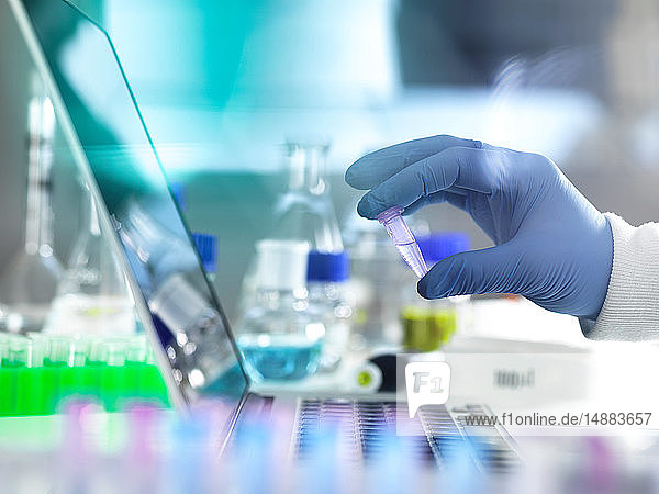 Forschungsexperiment  Wissenschaftler untersucht Fläschchen mit Proben  die in der biomedizinischen  DNA-  Biotechnologie-  analytischen Chemie- und pharmazeutischen Forschung verwendet werden