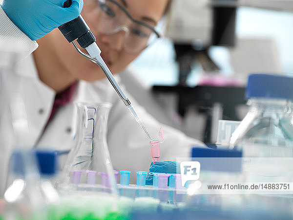 Wissenschaftler pipettiert während eines genetischen Experiments im Labor Probe in ein Fläschchen