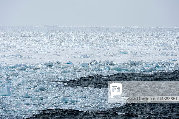Küstennahes Eis und nebliger Horizont  Wahlenberg-Fjord  Nordaustlandet  Svalbard  Norwegen.