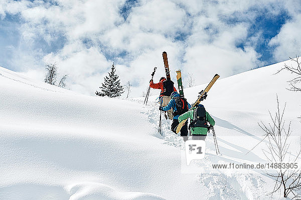 Männliche Skifahrer stapfen den schneebedeckten Berg hinauf,  Rückansicht,  Alpe-d'Huez,  Rhône-Alpes,  Frankreich