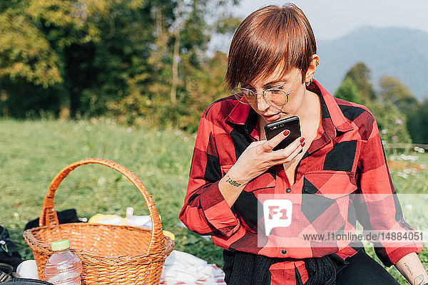 Woman making call at picnic  Rezzago  Lombardy  Italy