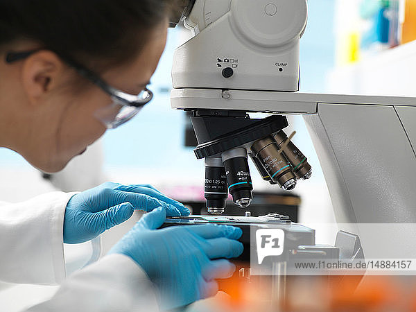 Wissenschaftler platziert menschliche Probe auf Glasträger unter dem Mikroskop im Labor