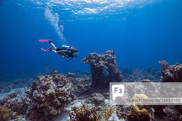 Female diver exploring reefs  Curacao