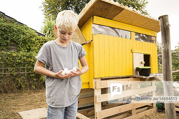 Junge hält Eier im Hühnerstall im Garten