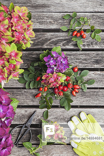 Hortensien und Hagebutten,  Gartenhandschuhe und Scheren auf dem Gartentisch