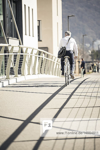 Rear view of mature businessman riding bicycle on a bridge in the city