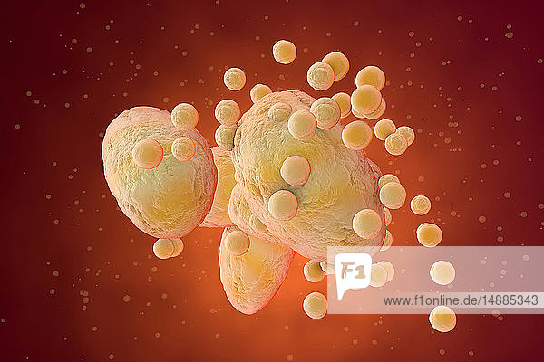3D-gerenderte Illustration  Visualisierung von Fettzellen  die sich im menschlichen Körper zusammenballen