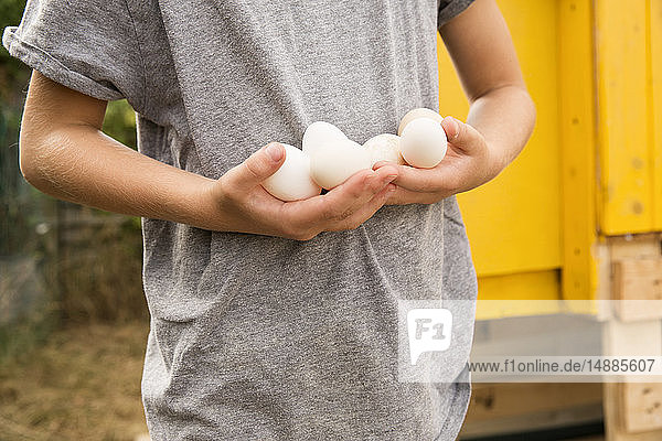 Nahaufnahme eines Jungen  der im Hühnerstall im Garten Eier hält